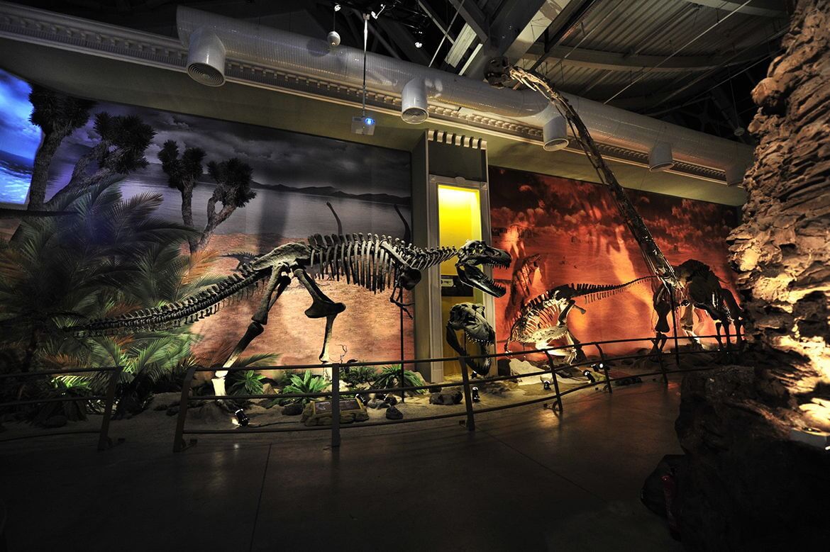 ارض الديناصورات في اسطنبول